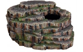 Caverne pour serpent