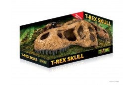 Cachette Crâne de T-rex