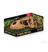 Cachette Crâne de T-rex