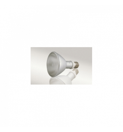 Lampe HQI Spot + Ballast Lampe HQI Spot + Ballast