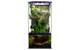 Paludarium 30x30x60