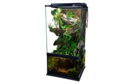 Paludarium 30x30x60