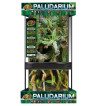 Paludarium 30x30x60