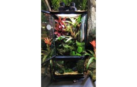 Paludarium 30x30x60