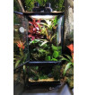 Paludarium 30x30x60