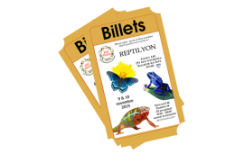 Reptilyon 14 et 15 novembre 2020 Reptilyon 14 et 15 novembre 2020