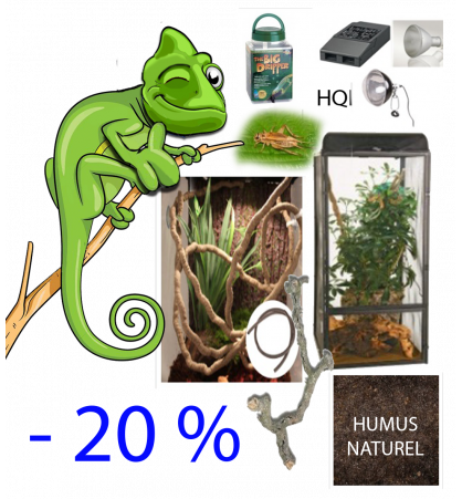 Pack caméléon Pack caméléon