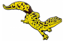 Pin's gecko lèopard Pin's gecko lèopard