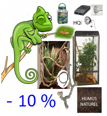 Kit complet Deluxe XL caméléon