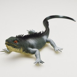 Lézard