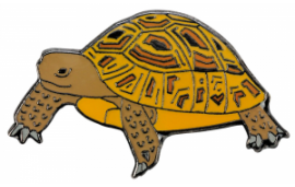 Pin's tortue Pin's tortue