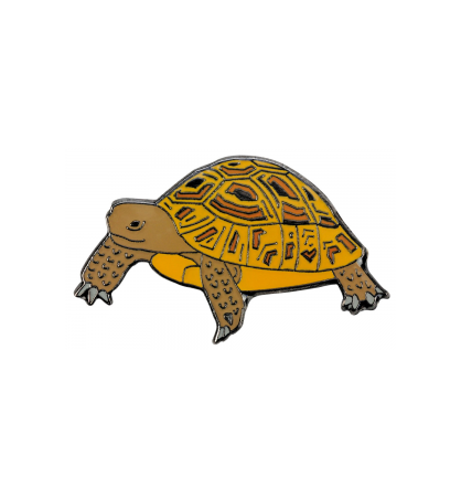 Pin's tortue Pin's tortue