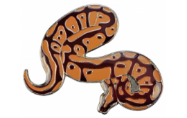 Pin's python Pin's python