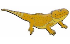 Pin's pogona Pin's pogona