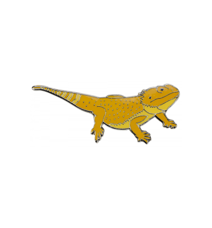 Pin's pogona Pin's pogona