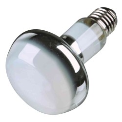 Lampe spot à chaleur