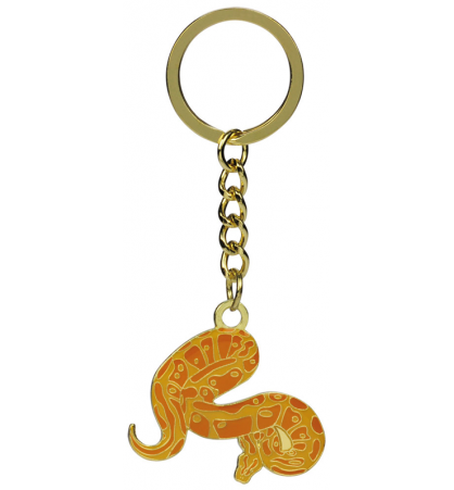 Porte-clé python