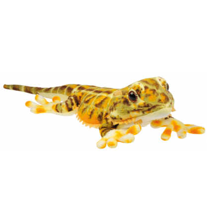 Peluche pogona