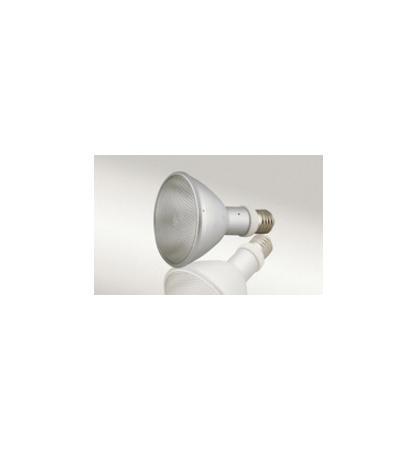 Lampe HQI flood Exo-Fauna Lampe HQI flood Exo-Fauna