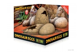 Cachette œufs de dinosaure...