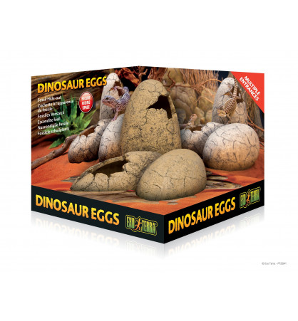 Cachette œufs de dinosaure
