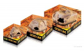 Gecko Cave Gecko Cave