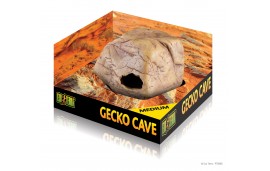 Gecko Cave Gecko Cave
