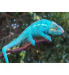 Furcifer pardalis Nosy be “true blue”