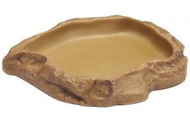 Gamelle feeding dish reptile Gamelle feeding dish reptile