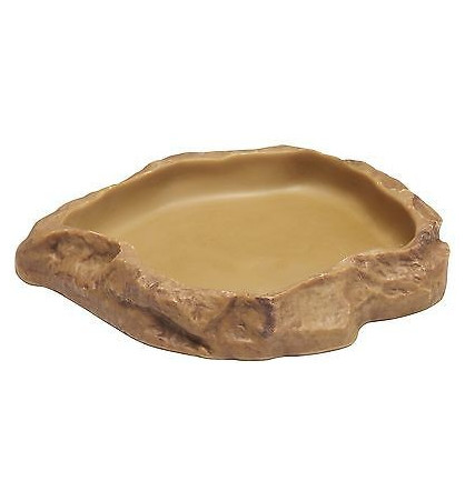 Gamelle feeding dish reptile Gamelle feeding dish reptile
