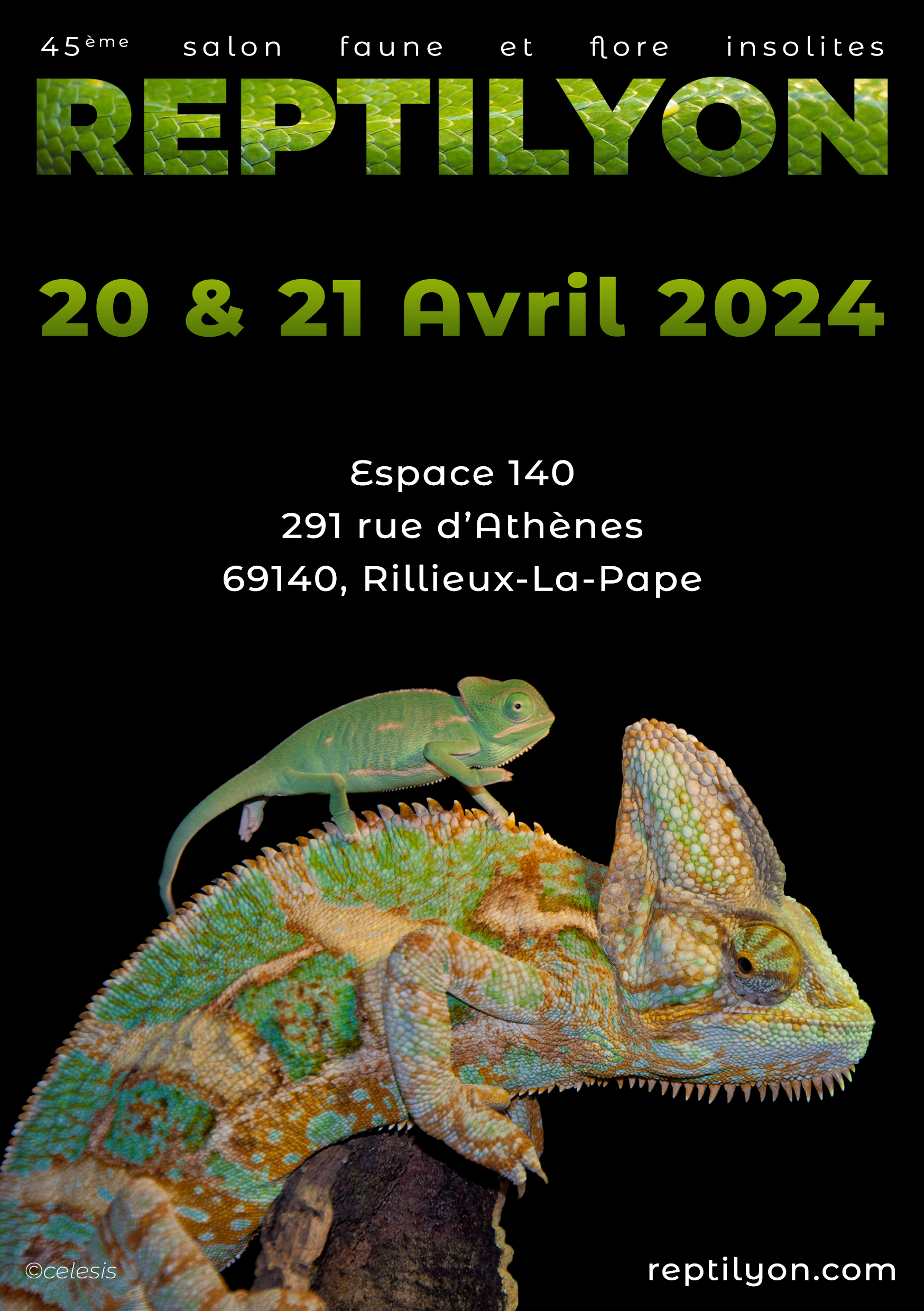 Reptilyon avril 2024